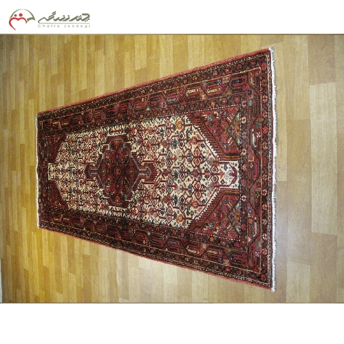 خرید، قیمت و مشخصات فرش دستبافت همدان تراکم بالا و بافته شده با نخ درجه یک با ضمانت کد 39091 - چترزندگی