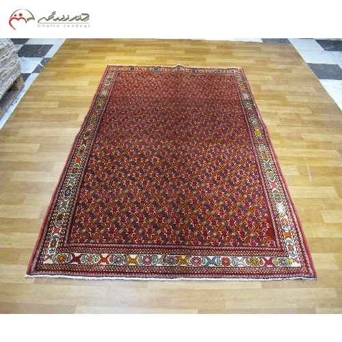 خرید، قیمت و مشخصات فرش دستبافت شیراز با زمینه طرح پرده ای و نقشه عالی با طرح بندی درجه یک کد 39323 - چترزندگی