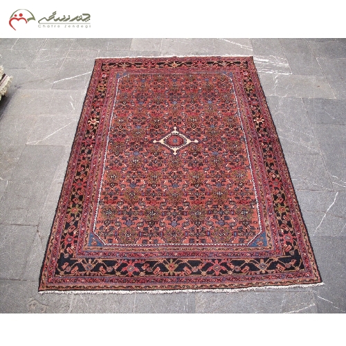 خرید، قیمت و مشخصات فرش دستبافت همدان با زمینه رناسی و نقشه بی نظیر و بافته شده با الیاف طبیعی کد 39340 - چترزندگی