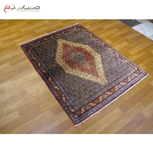 خرید، قیمت و مشخصات فرش نوبافت سنندج طرح لچک و ترنج با نقشه زمینه ی بی نظیر، دستبافت و تراکم بالا کد 40127 - چترزندگی