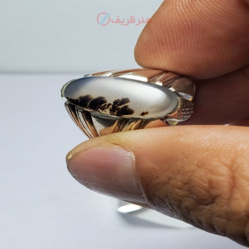 خرید آنلاین، انگشتر مردانه با نگین شجر معدنی، دست ساز، رکاب نقره، شیک و متفاوت، قیمت مناسب | چترزندگی