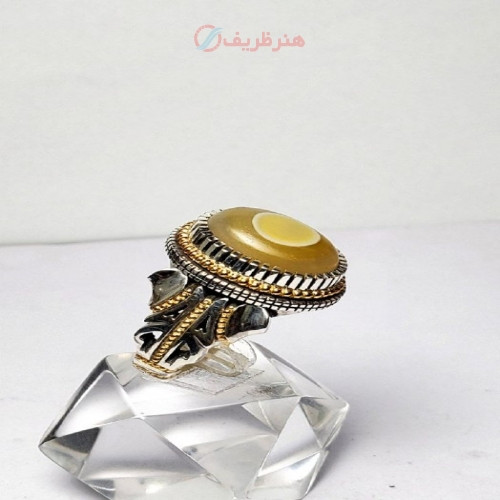 خرید آنلاین، انگشتر مردانه دست ساز با رکاب طلا و نقره و نگین باباقوری باستانی کلکسیونی بسیار منحصر به فرد، زیر قیمت بازار | چترزندگی