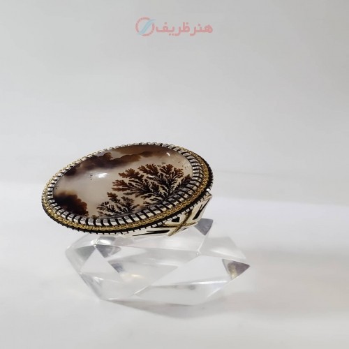 خرید آنلاین، انگشتر سنگ شجر تک درخت با رکاب نقره طلا و نقره، بسیار خاص و شیک، چشم نواز، زیر قیمت بازار | چترزندگی