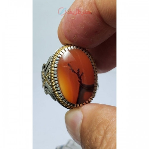 خرید آنلاین، انگشتر مردانه با نگین شجر سرخ یمنی طرح تک درخت، رکاب طلا و نقره دست ساز، قیمت مناسب | چترزندگی