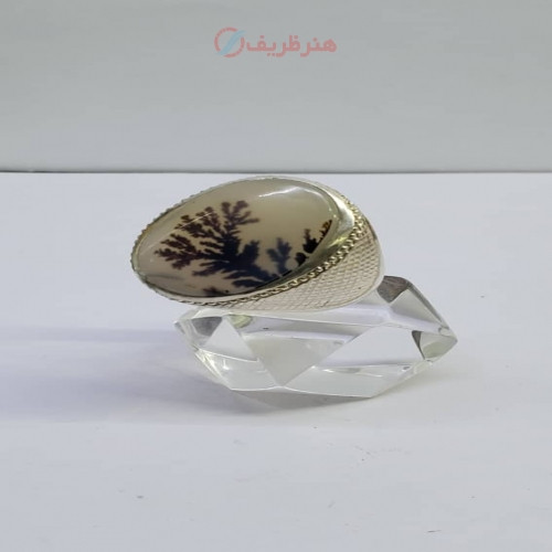 خرید آنلاین، انگشتر نقره مردانه با نقش تک درخت و نگین شجر کلکسیونی دست ساز، رکاب نقره اثر دست استاد موسوی، زیر قیمت بازار | چترزندگی