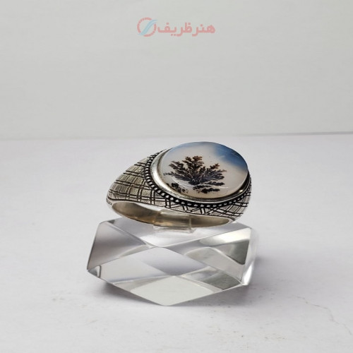 خرید آنلاین، انگشتر مردانه با نگین شجر تک درخت کلکسیونی همراه با رکاب نقره عیار 925 مدل رلکسی، زیر قیمت بازار | چترزندگی