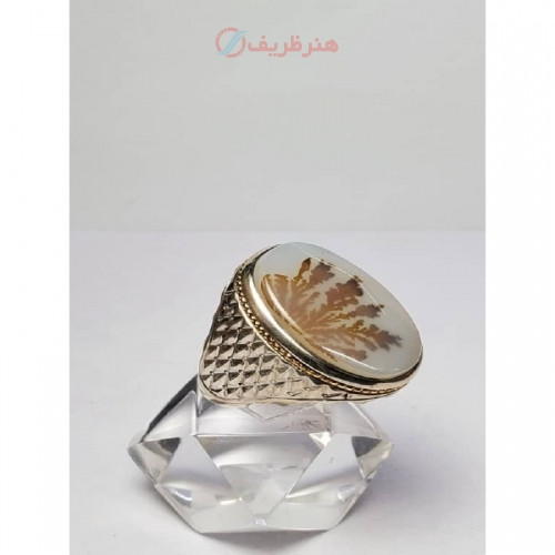 خرید آنلاین، انگشتر شیک مردانه با نگین شجر قرمز یمنی در طرح خاص رولکس، رکاب طلا و نقره مدل حصیری، زیر قیمت بازار | چترزندگی