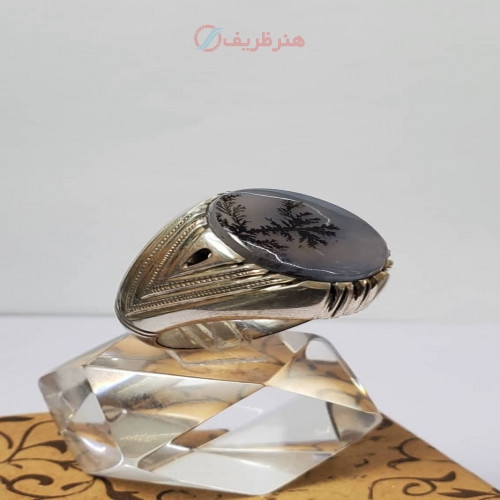 خرید آنلاین، انگشتر مردانه با نگین شجر کبود طرح تک درخت کلکسیونی با رکاب نقره دست ساز با مهر درج شده، زیر قیمت بازار | چترزندگی