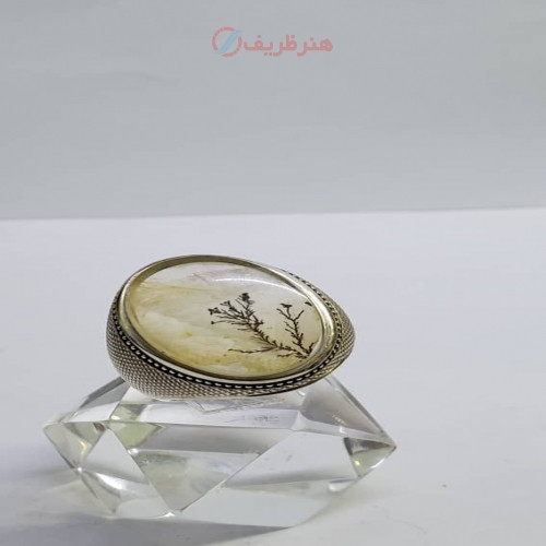 خرید آنلاین، انگشتر مردانه با نگین شجر کوارتز برزیلی، با رکاب نقره دست ساز، زیر قیمت بازار | چتر زندگی