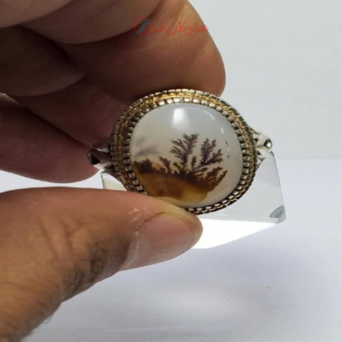 خرید آنلاین، انگشتر خاص مردانه با نگین شجر تک درخت کلکسیونی با رکاب طلا و نقره، بسیار شکیل، زیر قیمت بازار | چترزندگی