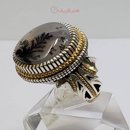 خرید آنلاین، انگشتر کلکسیونی مردانه با نگین شجر و رکاب نقره و طلا کار شده، زیر قیمت بازار | چترزندگی