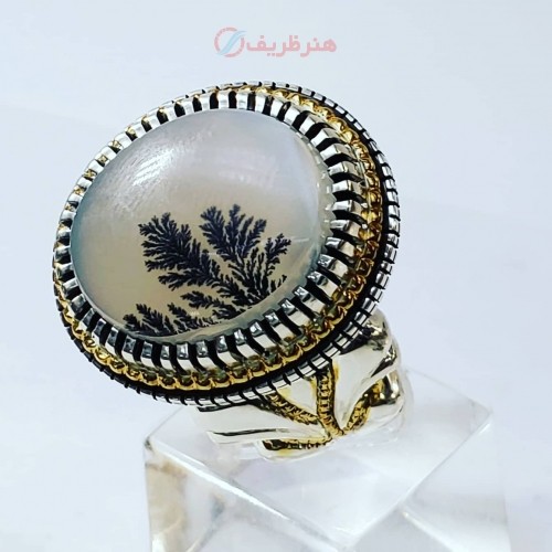 خرید آنلاین، انگشتر مردانه دستساز آلیاژ طلا و نقره با نگین شجر کلکسیونی، ساده و شکیل، رکاب ضخیم، زیر قیمت بازار | چترزندگی