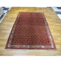 خرید، قیمت و مشخصات فرش دستبافت شیراز با زمینه طرح پرده ای و نقشه عالی با طرح بندی درجه یک کد 39323 - چترزندگی