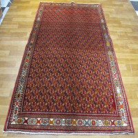 خرید آنلاین، فرش بافت دست شيراز طرح بندي، رنگ زمینه لاكي با رنگ حاشیه كرم کد ۳۹۳۲۳، زیر قیمت بازار | چترزندگی